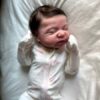 Baby Berry