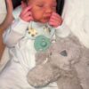 Baby Ann